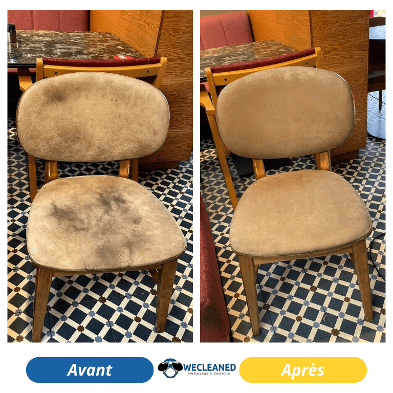 Chaises Velours