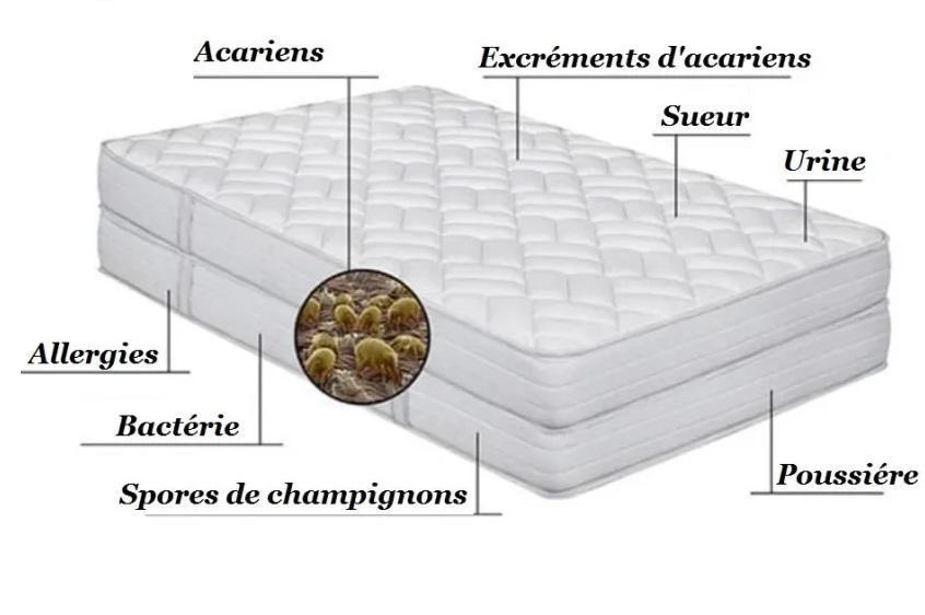 Retrouvez un sommeil sain avec notre nettoyage matelas anti-acariens